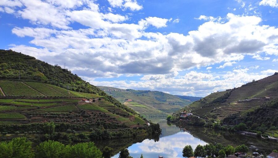 Pinhão: Douro River 50-min Boat Trip with Port Wine - Quinta das Carvalhas before returning to Pinhão