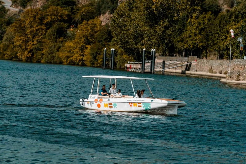 Pinhão: Douro River Solar Boat Tour with Wine Tasting - At a Glance: What Makes This Cruise Worthwhile