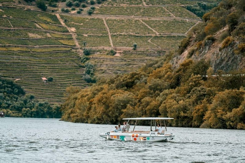 Pinhão: Douro River Solar Boat Tour with Wine Tasting - Guides, Languages, and the Human Side