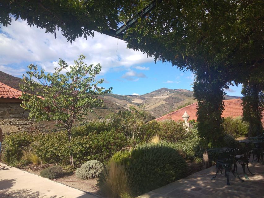 Pinhão: Douro Valley with Wine Tasting, Boat Trip and Lunch - Is $116 good value?