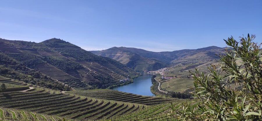 Pinhão: Douro Valley with Wine Tasting, Boat Trip and Lunch - Starting beside the Douro River