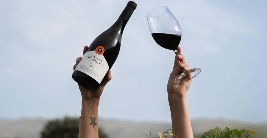 Pinhão: Quinta da Formigosa Vineyard Tour and Wine Tasting - Key points at a glance