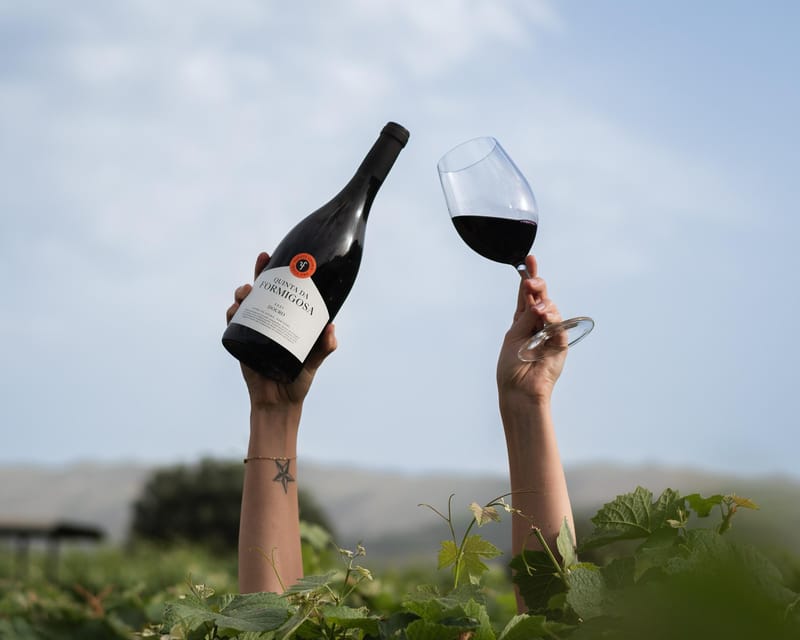 Pinhão: Quinta da Formigosa Vineyard Tour and Wine Tasting - Walking the vineyard for about 15 minutes