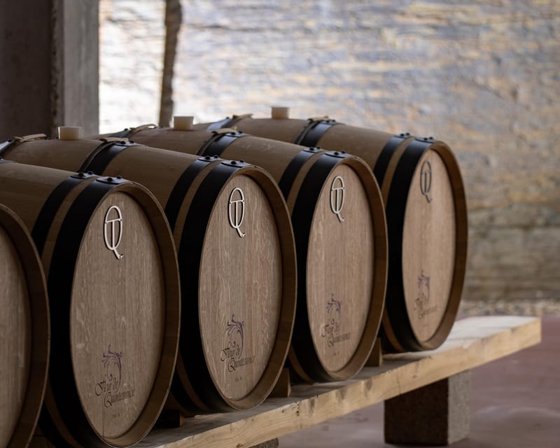 Pinhão: Quinta da Formigosa Vineyard Tour and Wine Tasting - Inside the winery: from grape to bottle