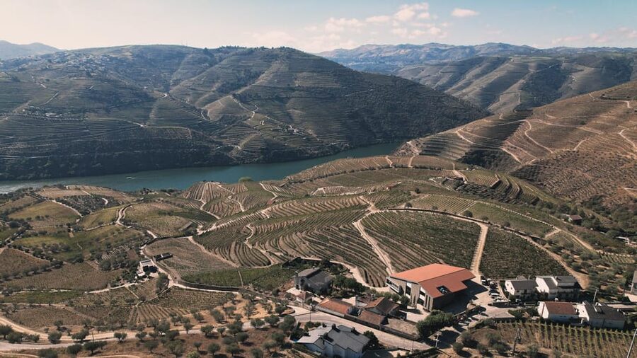 Pinhão: Quinta da Formigosa Vineyard Tour and Wine Tasting - Is $35 a good value for 90 minutes?