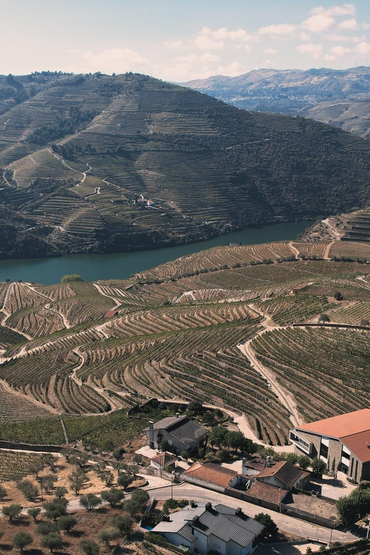 Pinhão: Quinta da Formigosa Vineyard Tour and Wine Tasting - Who will enjoy this visit most?