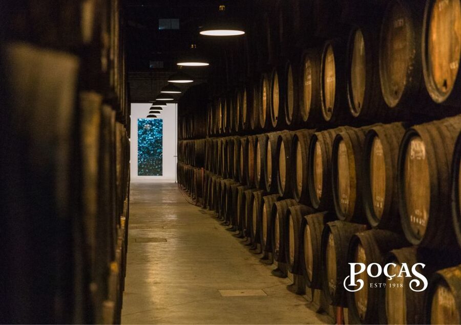 Poças: Guided Tour & Port Wine Tasting with Pastel de Nata - Who will enjoy this Poças visit most?