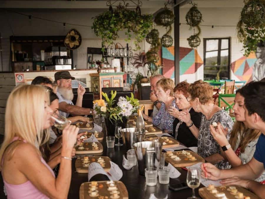 Pokolbin: Hunter Valley Half-Day Tour with Cheese and Wine - Why this four-hour tour works for a short Hunter Valley visit