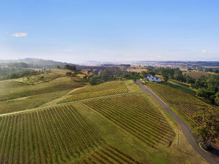 Pokolbin: Picnic & Wine Tasting at Audrey Wilkinson Vineyard - Arriving at Audrey Wilkinson on De Beyers Road