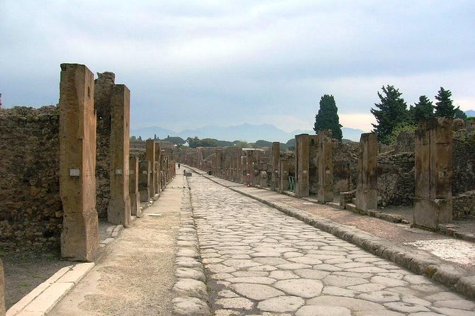 Pompei Archeological site and Wine tasting Experience - Who will enjoy this private Pompeii outing