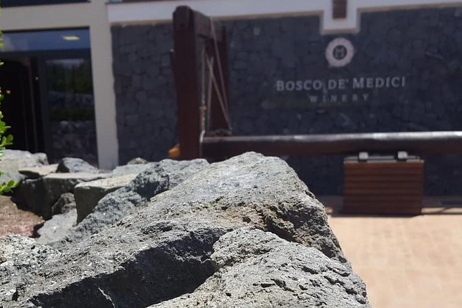 Pompei Archeological site and Wine tasting Experience - Bosco de Medici and the wine tasting