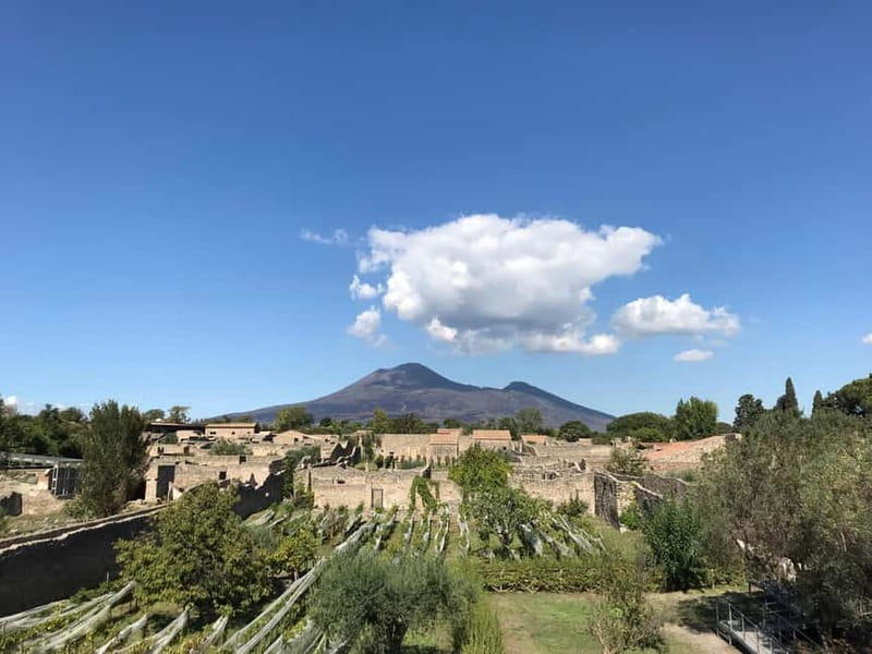 Pompeii: Archeological Tour & Wine Tasting at Mt. Vesuvius - The 15-minute ride to Casa Setaro Winery