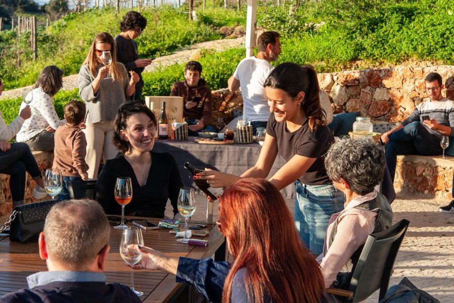 Porches: Algarve Vineyard Tour and Wine Tasting Experience - The views are part of the tasting