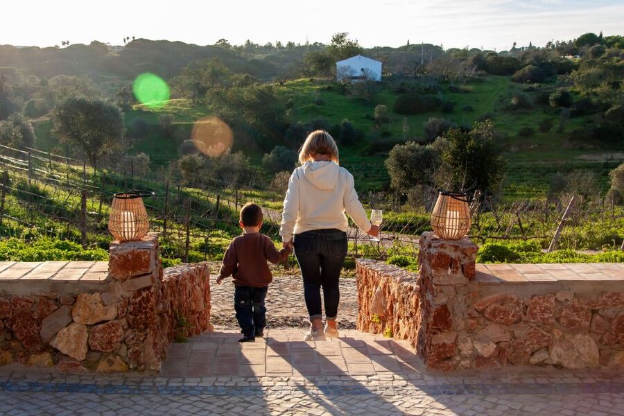 Porches: Algarve Vineyard Tour and Wine Tasting Experience - How the hosting shapes the experience