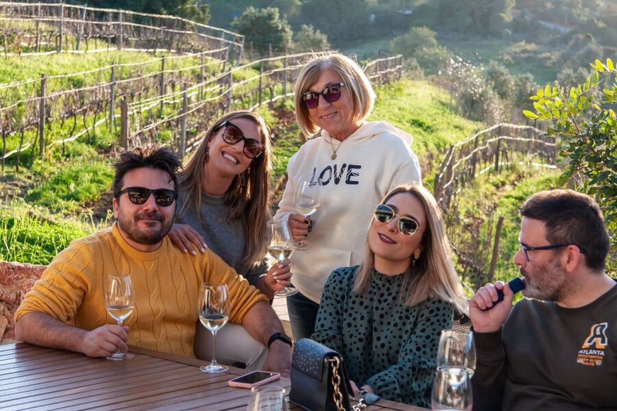 Porches: Algarve Vineyard Tour and Wine Tasting Experience - Is $91 per person good value?