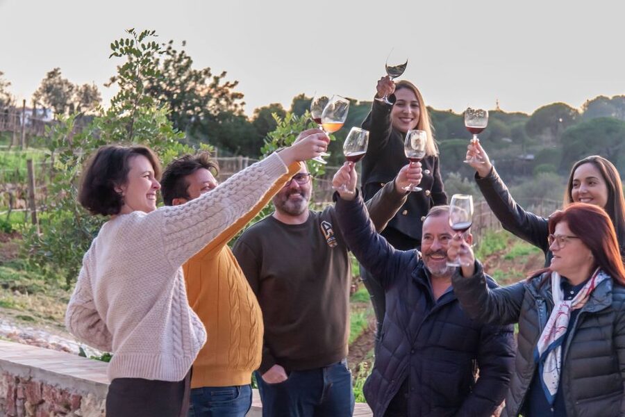 Porches: Algarve Vineyard Tour and Wine Tasting Experience - Who will enjoy this vineyard experience?