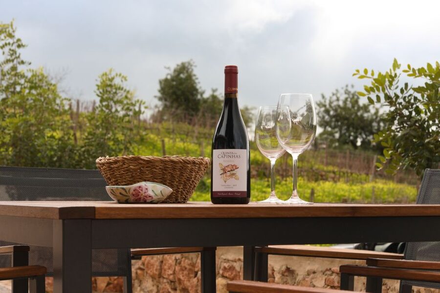 Porches: Algarve Vineyard Tour and Wine Tasting Experience - Small details that make the visit better