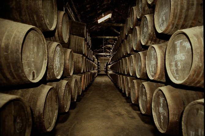 Port Wine Lodges Tour Including 7 Port Wine Tastings (English) - Starting beside the D. Luis Bridge at 3 p.m.
