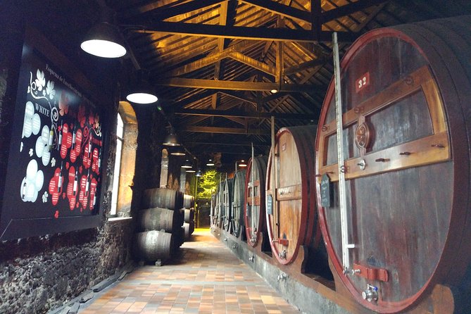 Port Wine Lodges Tour Including 7 Port Wine Tastings (English) - Guide quality is the biggest variable