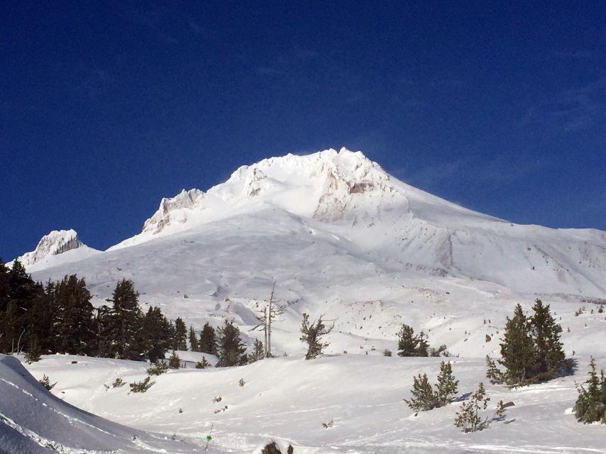 Portland: Mount Hood Wine and Waterfalls Full-Day Tour - The best parts of this Oregon day trip