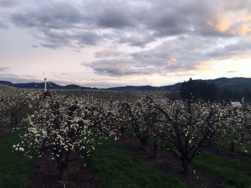 Portland: Mount Hood Wine and Waterfalls Full-Day Tour - Who should book this tour?