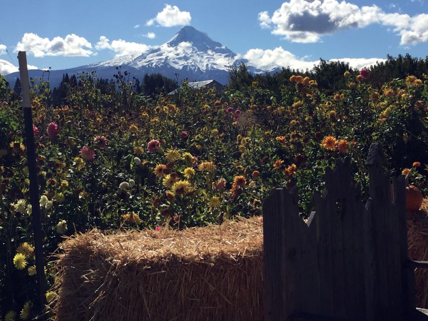 Portland: Mount Hood Wine and Waterfalls Full-Day Tour - The second winery and the Columbia Gorge