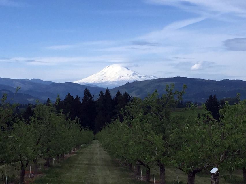 Portland: Mount Hood Wine and Waterfalls Full-Day Tour - Basalt cliffs and 30 minutes at Multnomah Falls