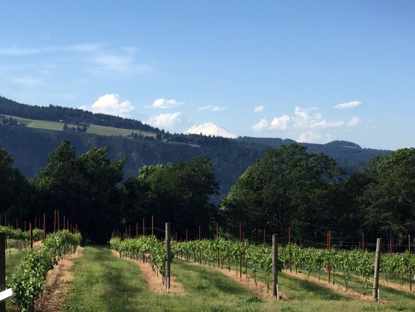 Portland: Mount Hood Wine and Waterfalls Full-Day Tour - Guides make or break a long day