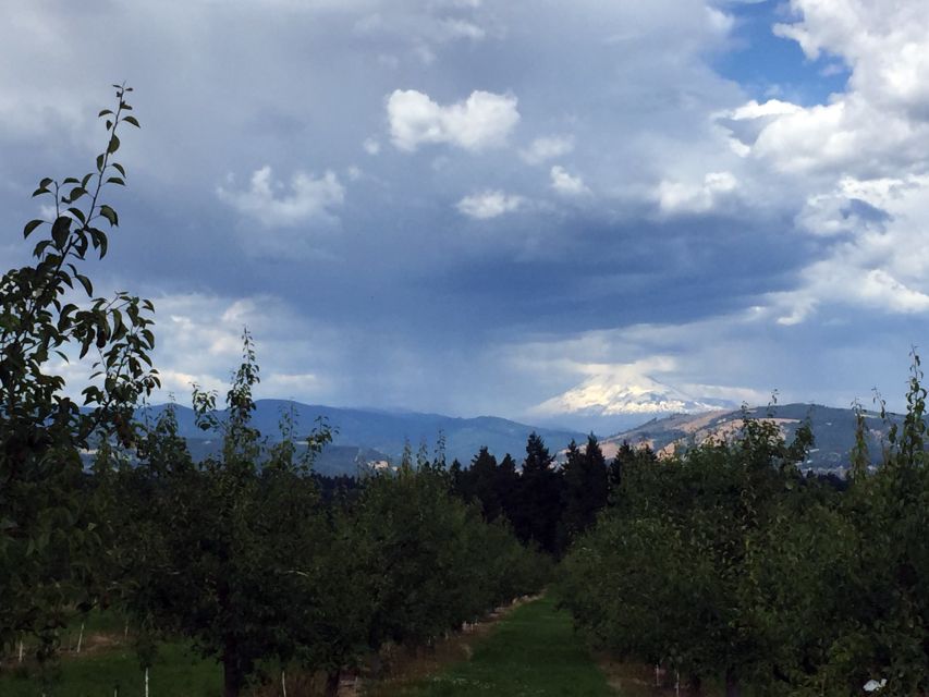 Portland: Mount Hood Wine and Waterfalls Full-Day Tour - Comfort, weather, and what to bring