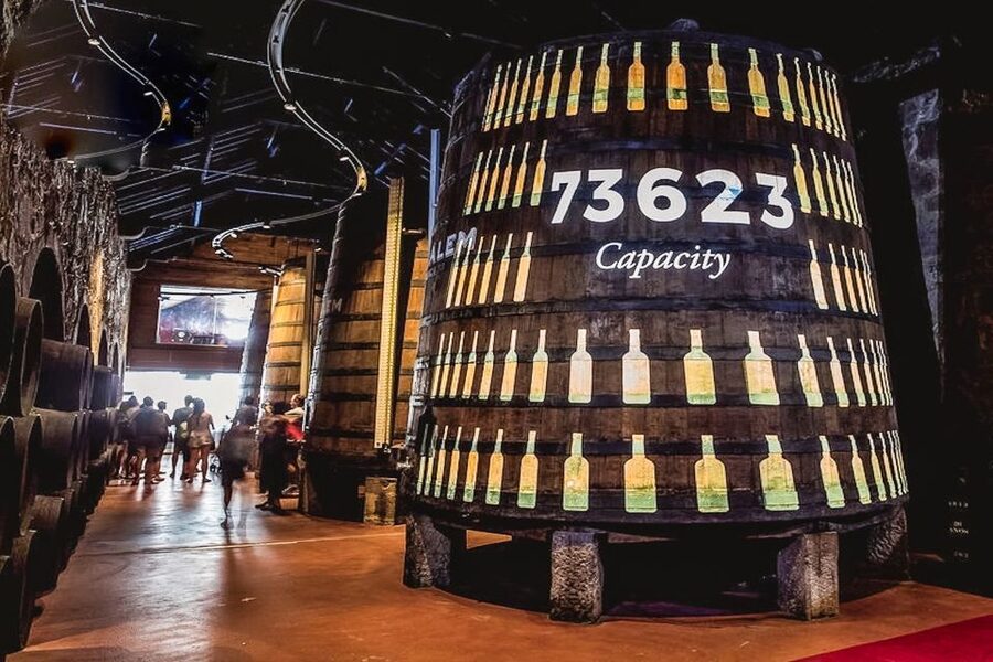 Porto: Cálem Cellar Tour, Fado Show & Wine Tasting - Who will get the most from this experience?
