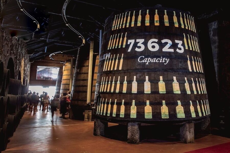 Porto: Cálem Cellar Tour, Interactive Museum & Wine Tasting - What you learn about the Douro region