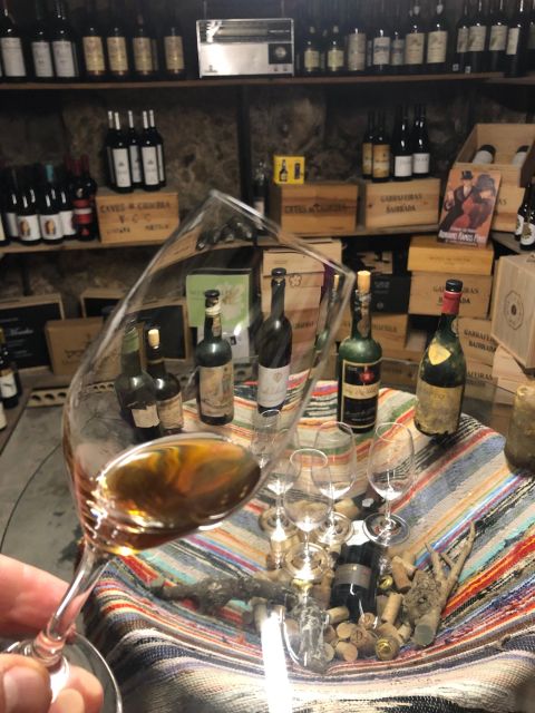 Porto: Cheese and Port Wine Tasting in a Unique Place - What happens inside Patio das Marias