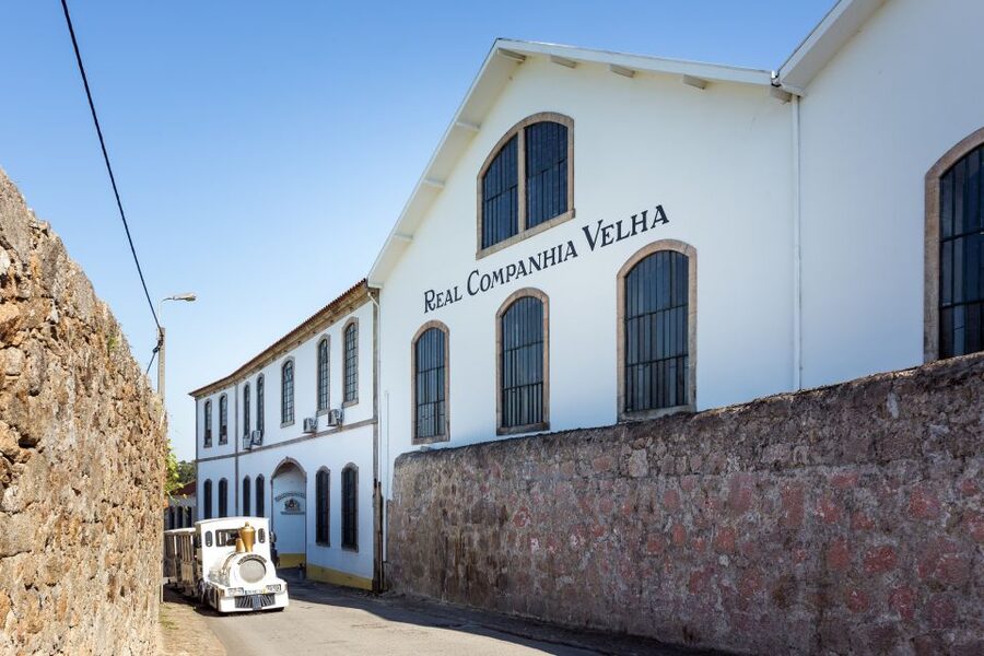 Porto: City Train Tour, River Cruise & Wine Cellar - Finding Ribeira and boarding the Douro boat