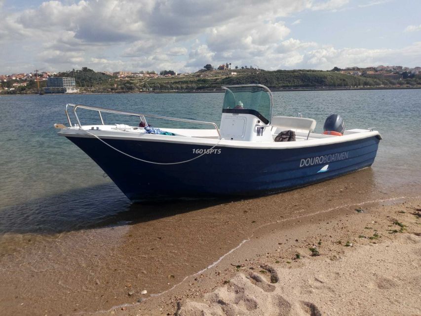 Porto: Douro River Cruise w/ Portuguese Wines & Local Host - Private Trips, Shared Boats, and Who Will Enjoy It