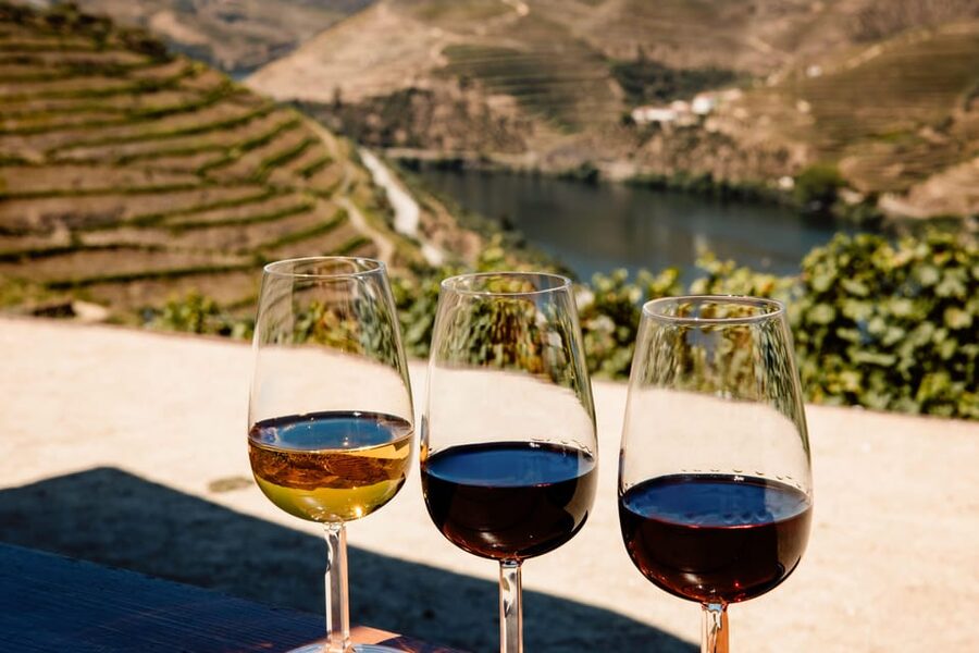 Porto: Douro Valley & Amarante Wine, Food & River Tour - Five details that make this Douro day trip worth considering