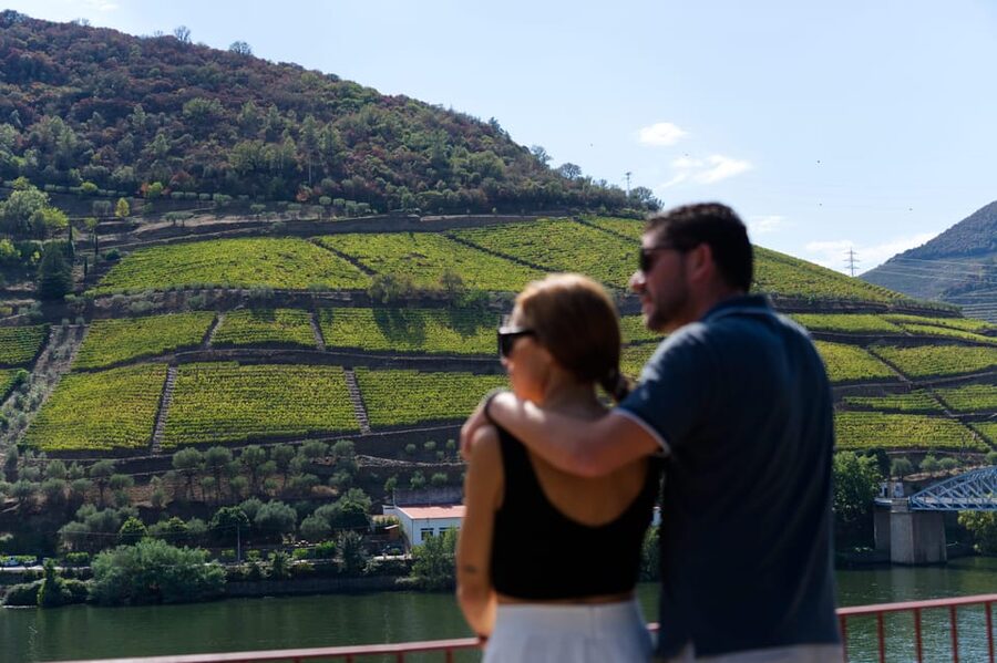 Porto: Douro Valley & Amarante Wine, Food & River Tour - First views of the Douro from a hilltop