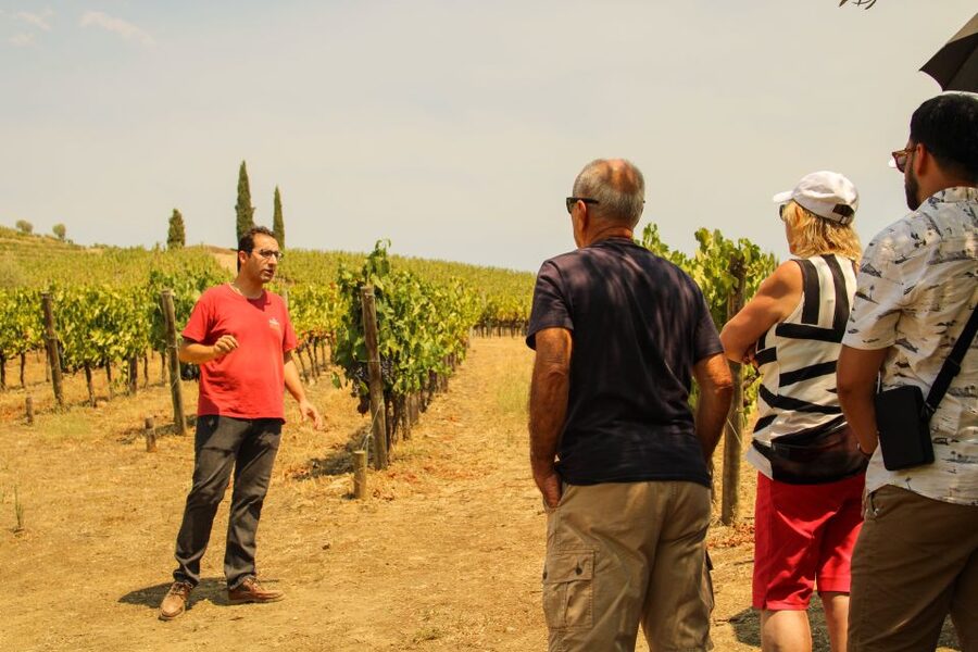 Porto: Douro Valley History & Wine Tour with Cruise & Lunch - Key points to know before you book