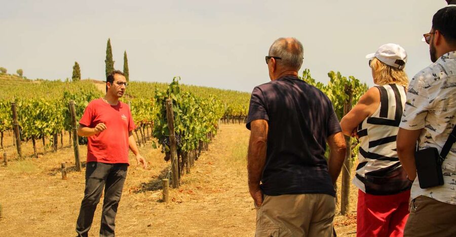 Porto: Douro Valley History & Wine Tour with Cruise & Lunch - São Leonardo da Galafura supplies the day’s great view
