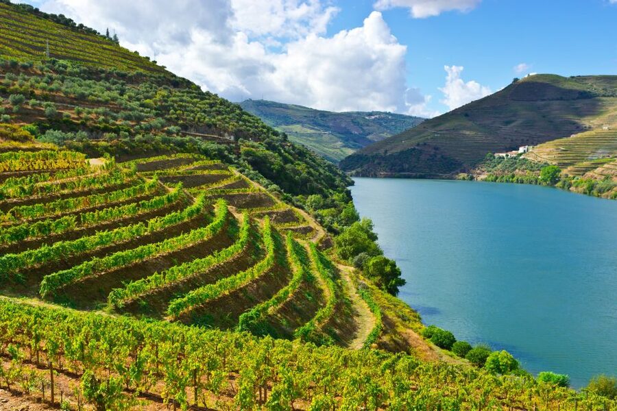 Porto: Douro Valley History & Wine Tour with Cruise & Lunch - Amarante gives you a gentle first taste of northern Portugal