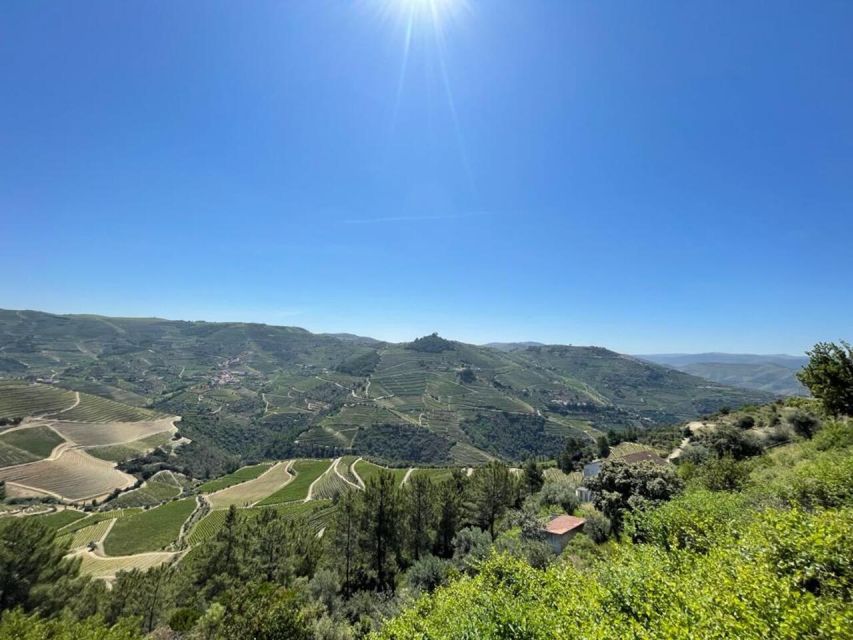 Porto: Douro Valley Tour with 2 Wineries, Lunch and Cruise - Key details before you book