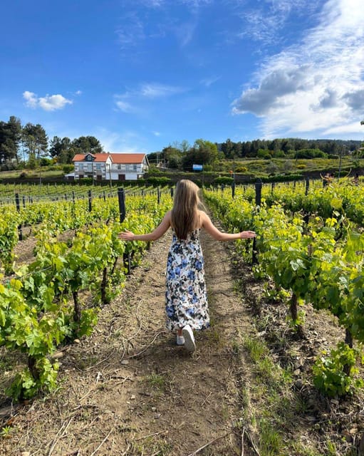 Porto: Douro Valley Tour with 2 Wineries, Lunch and Cruise - Who should book this experience?