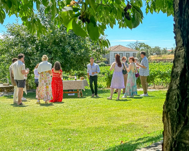 Porto: Douro Valley Tour with 2 Wineries, Lunch and Cruise - The N222 and São Cristóvão viewpoint