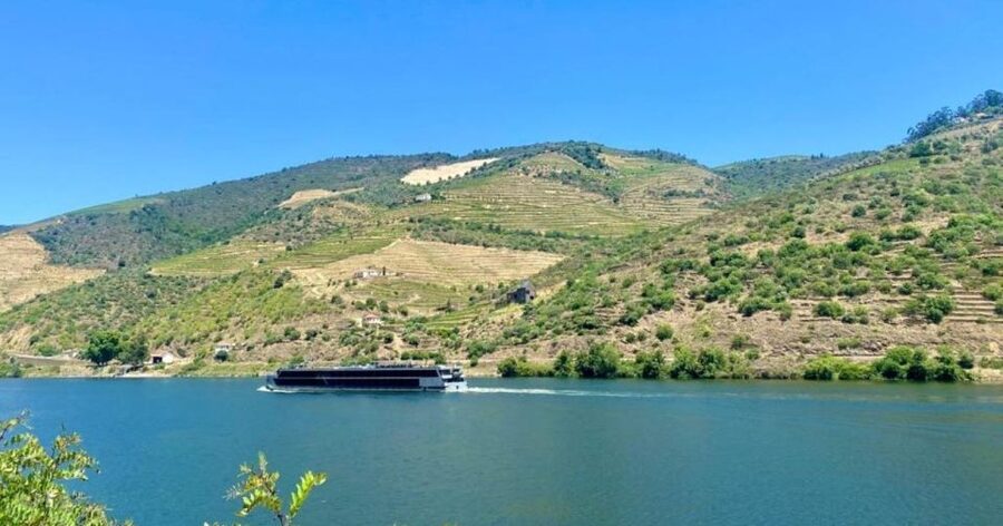 Porto: Douro Valley Tour with 2 Wineries, Lunch and Cruise - The second winery and the slower afternoon