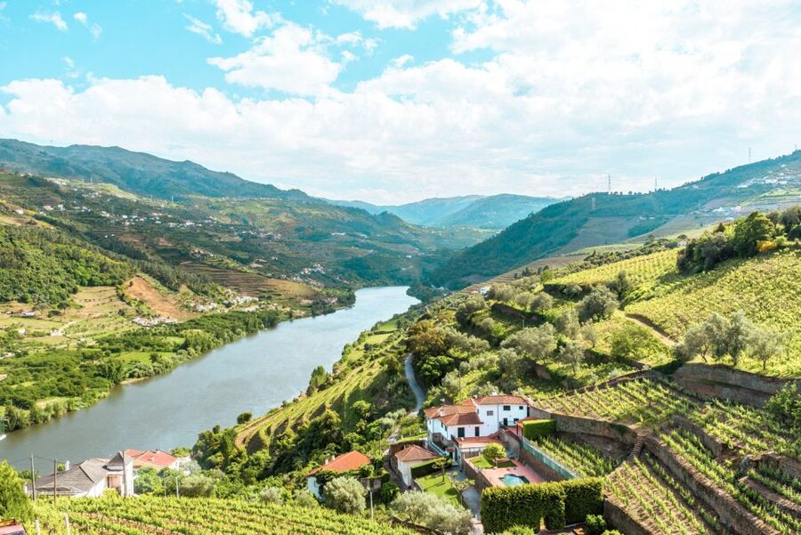 Porto: Douro Valley Tour with Wine Tasting, Cruise and Lunch - Key points before you book