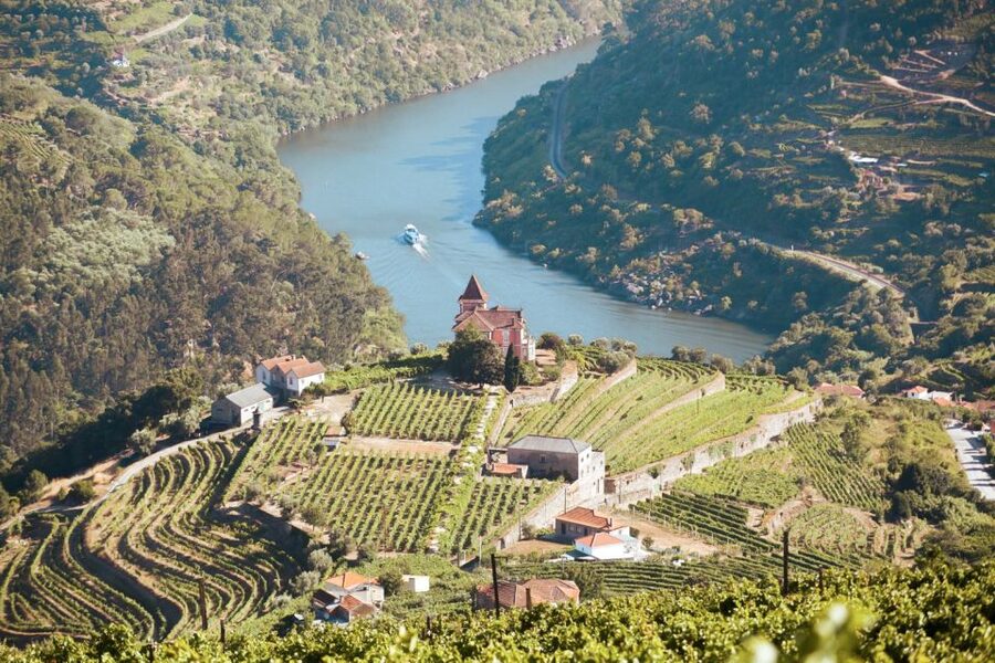 Porto: Douro Valley Tour with Wine Tasting, Cruise and Lunch - Why the Douro Valley is worth a full day