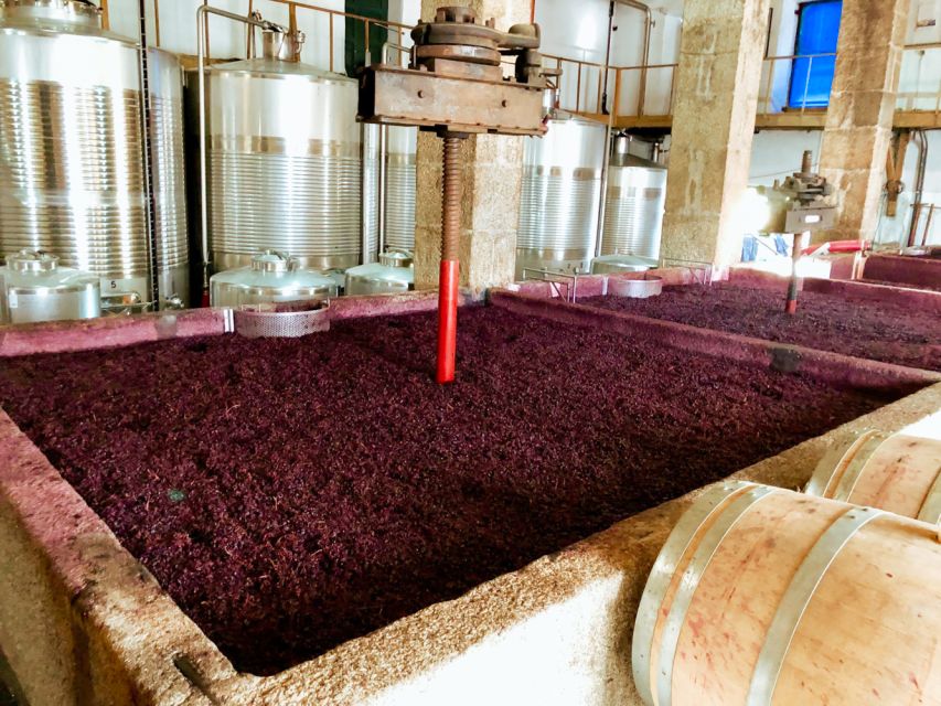 Porto: Douro Valley Tour with Wine Tasting, Cruise and Lunch - Lunch with Portuguese wine