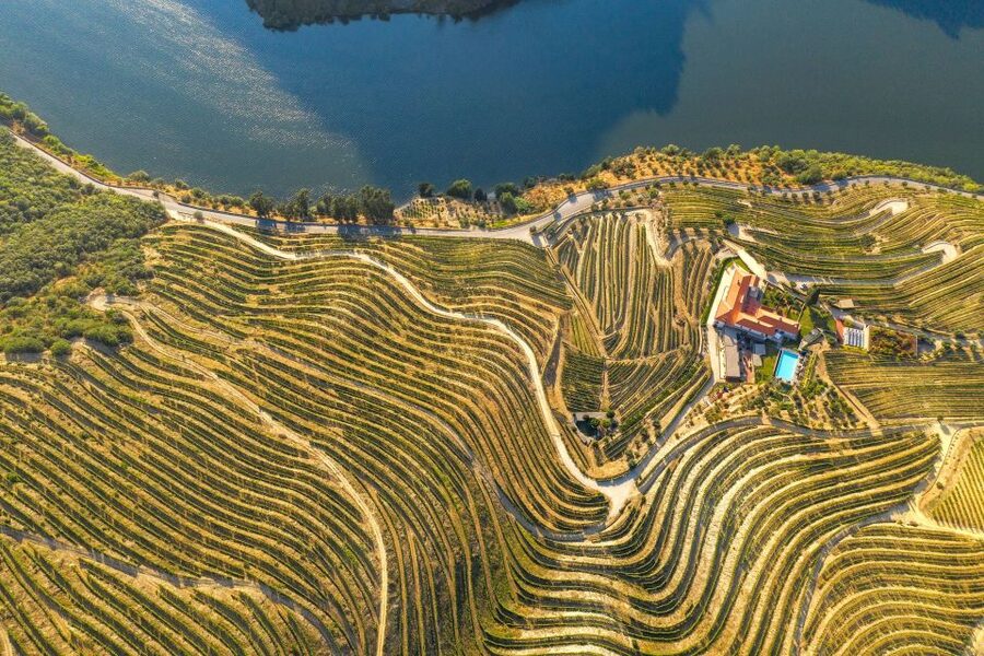 Porto: Douro Valley Tour with Wine Tasting, Cruise and Lunch - Pinhão and the one-hour Douro cruise