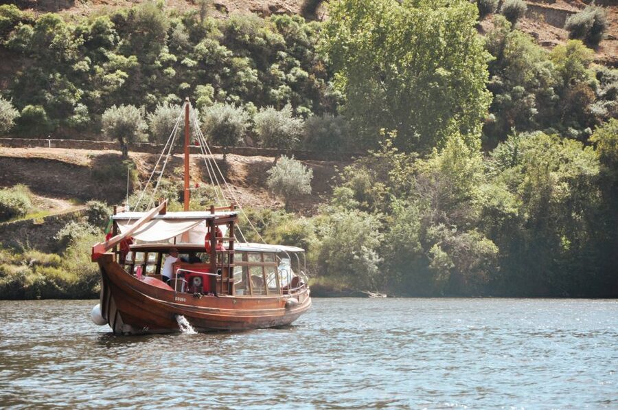 Porto: Douro Valley Tour with Wine Tasting, Cruise and Lunch - What $76 gets you