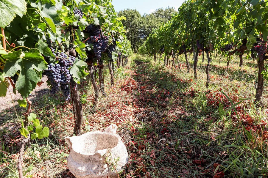 Porto: Douro Valley Wine Tour with a Sommelier & Boat Trip - Practical tips for making the day better