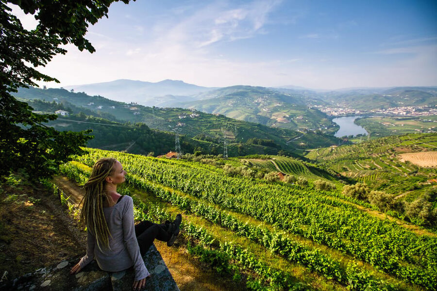 Porto: Douro Valley Wine Tour with a Sommelier & Boat Trip - The second winery and aged Port